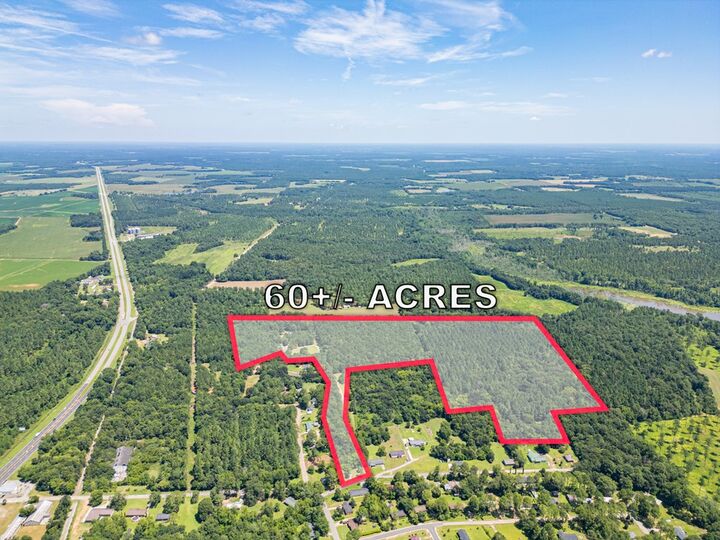 Property Photo: 448 NE Henry Mitchell GA 39842