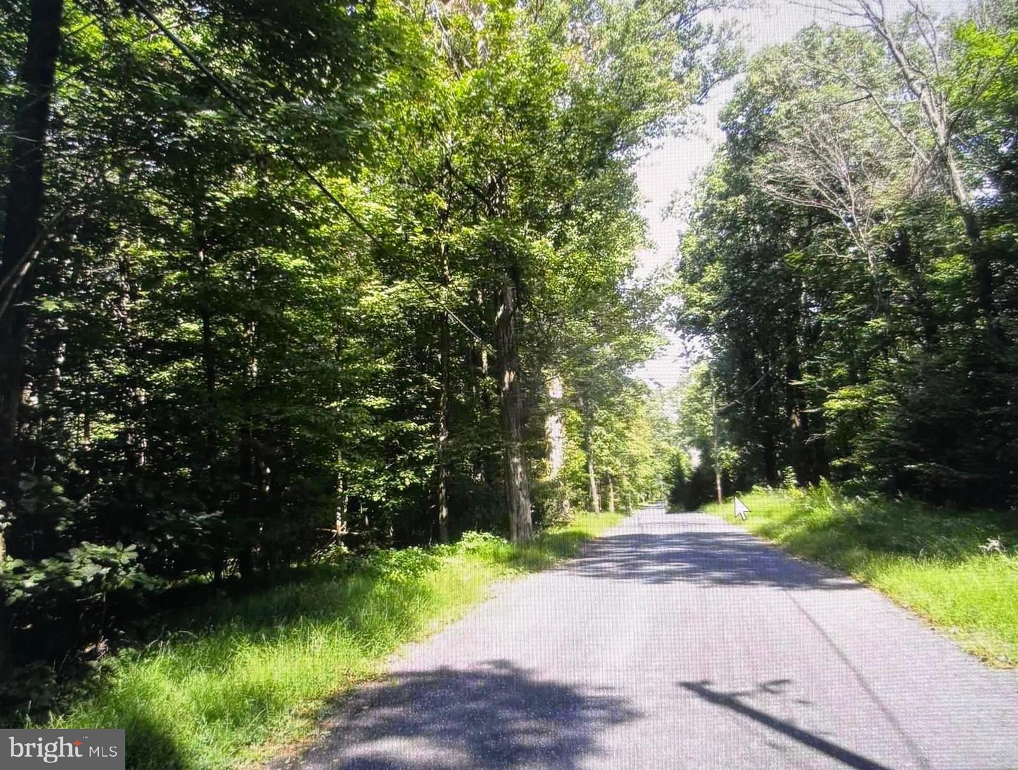 Property Photo:  Tower Road Parcel 9  MD 21783 