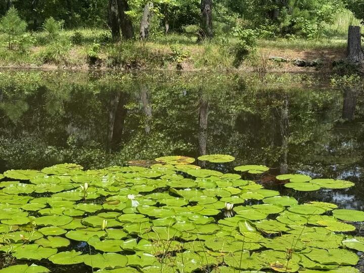 Property Photo:  3701 Privatewood Rd  AR 71603 