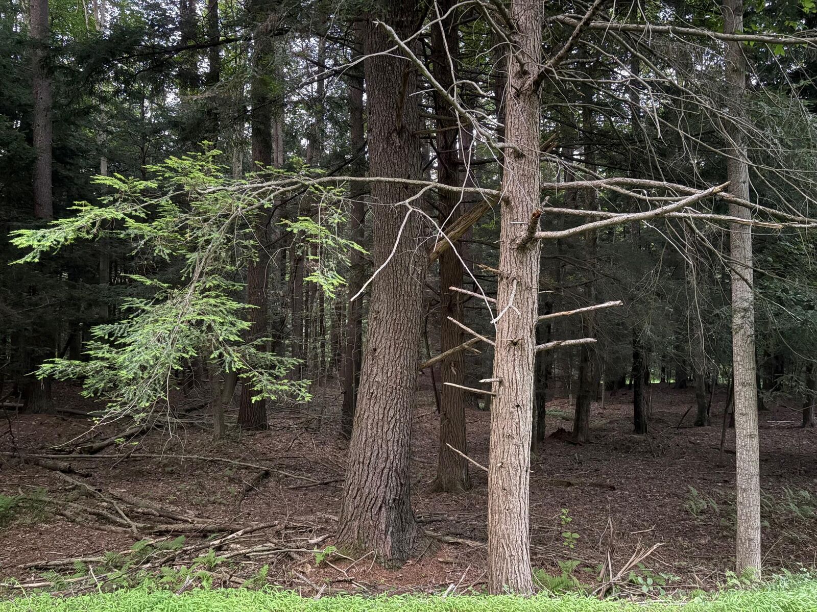 Property Photo: 25 Woolendean Rd PA 15801