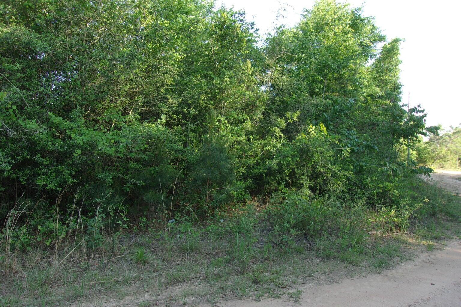 Property Photo: 00 Curlew Street FL 32539