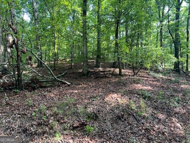 Property Photo: Tr10 - 4.64 Acr Wendy Hill Road GA 30175