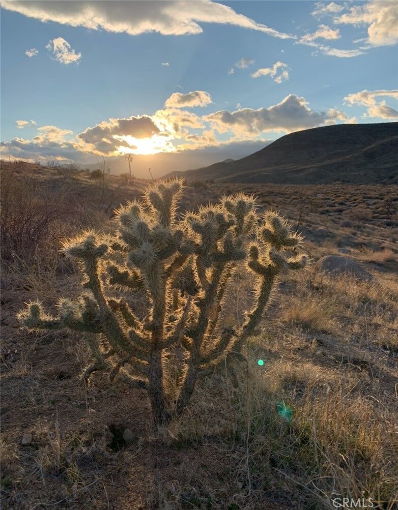 Property Photo:  0 E Drive  CA 92268 