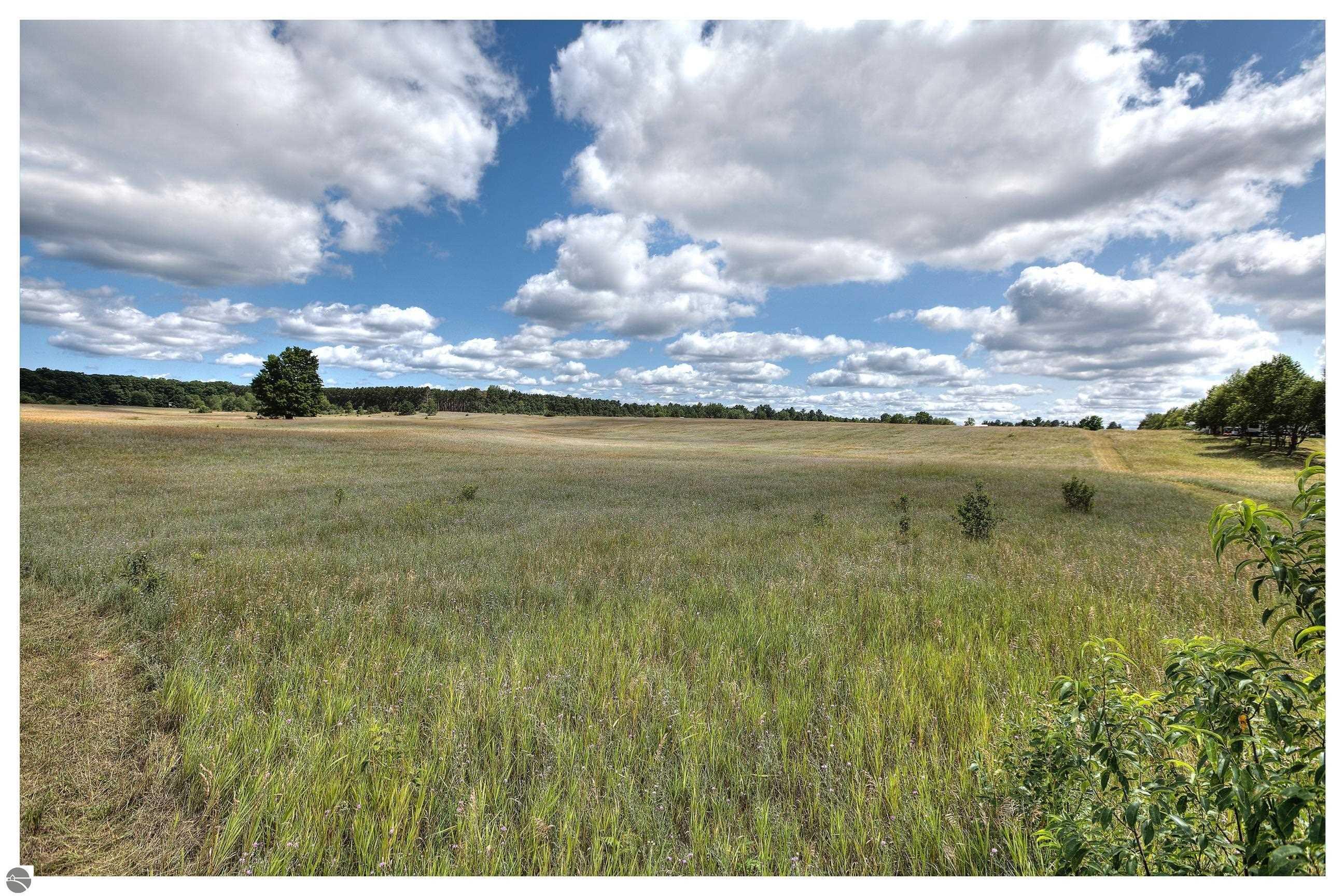 Property Photo:  0000 Honor Highway  MI 49643 