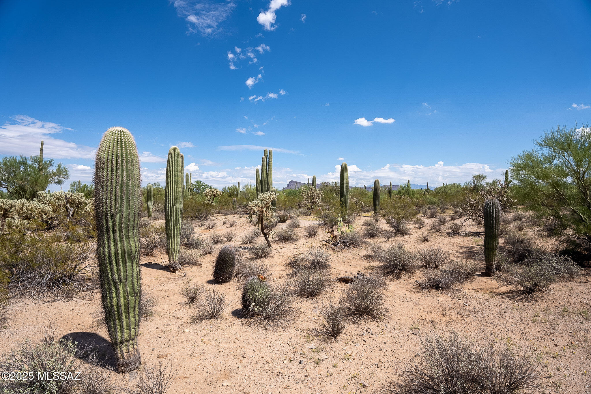 Property Photo: 11690 W Rudasill Road 0 AZ 85743