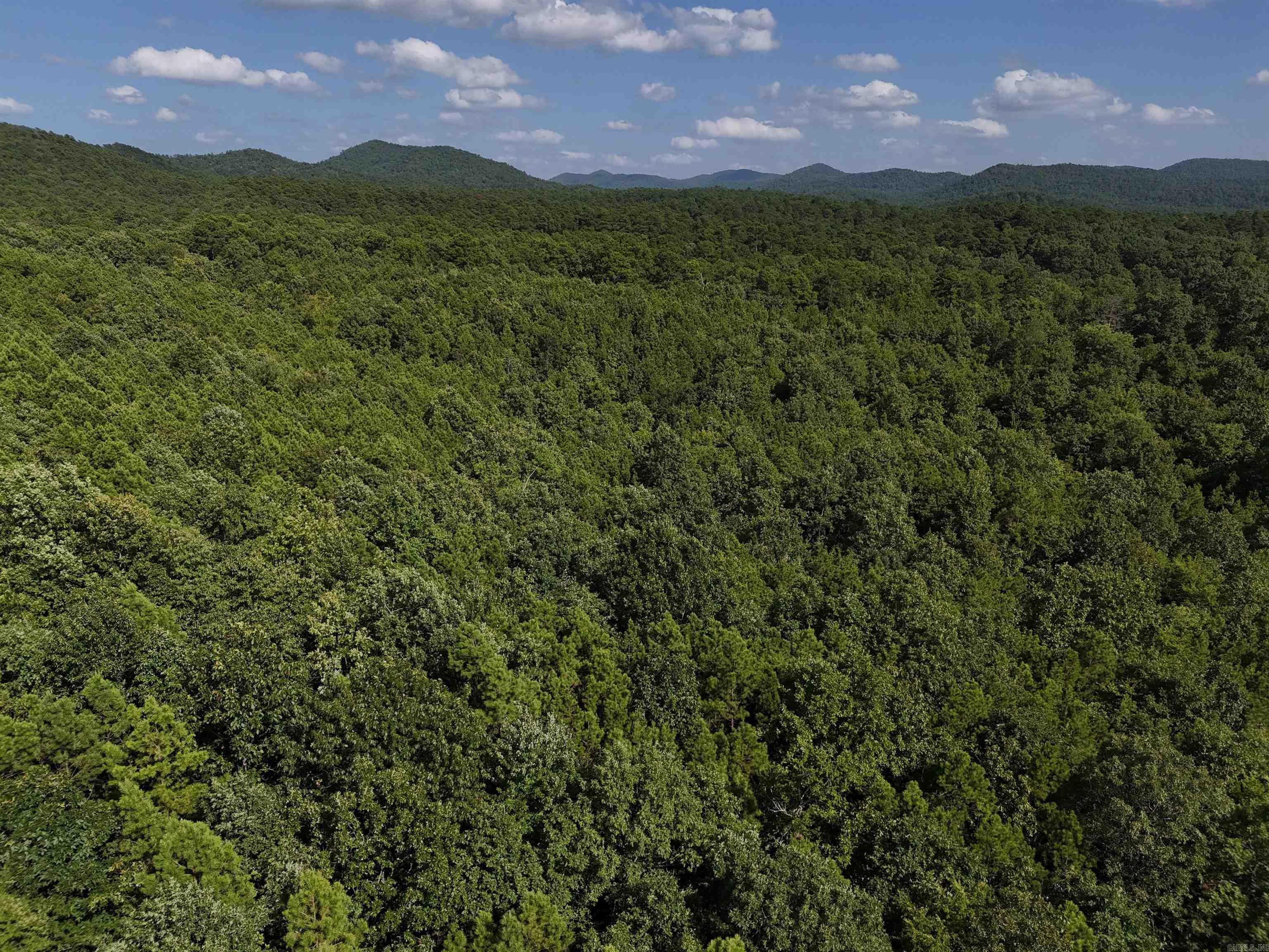 Property Photo:  Lot 6 Polk Road 78  AR 71953 