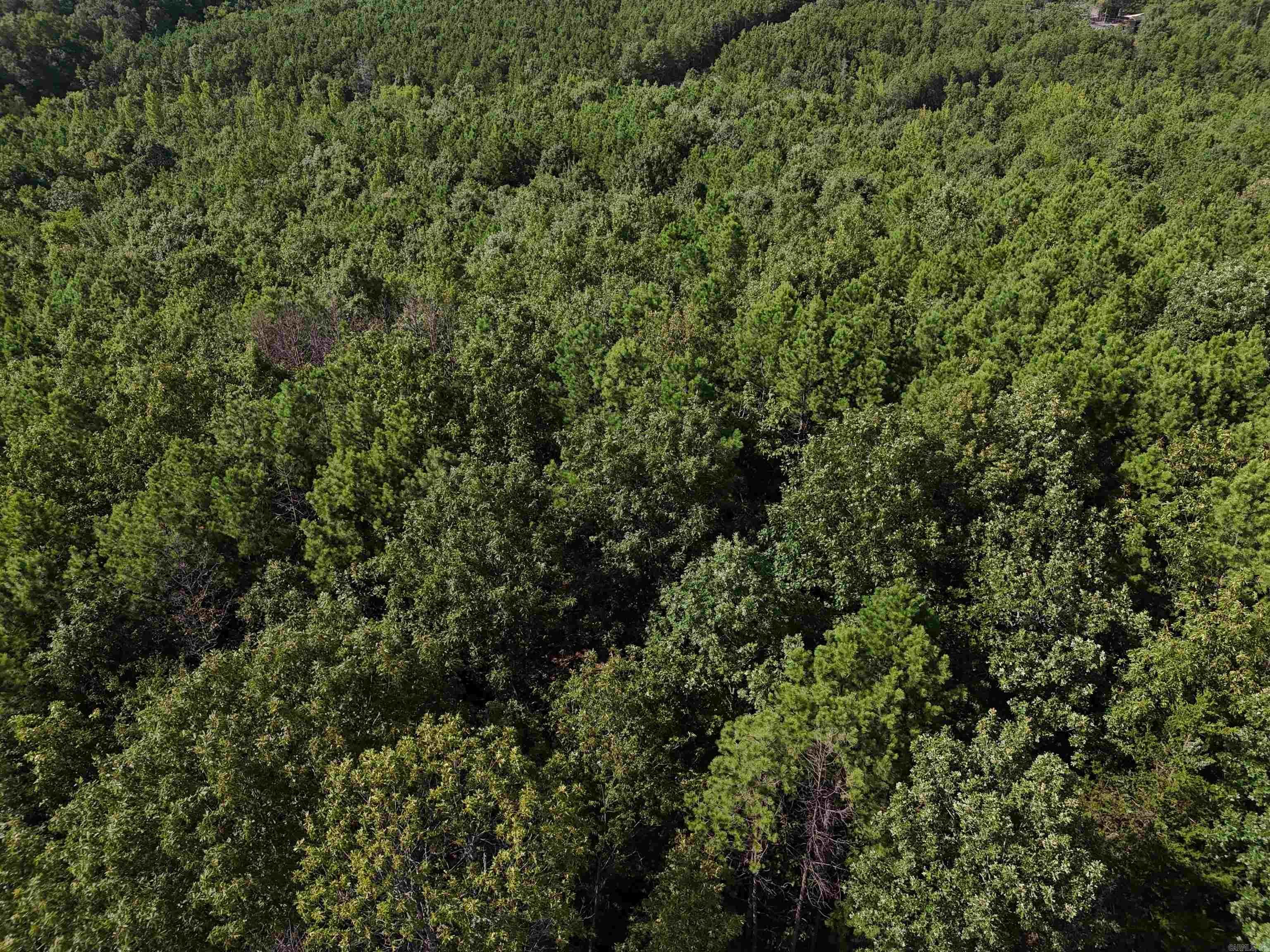 Property Photo:  Lot 11 Polk Road 78  AR 71953 