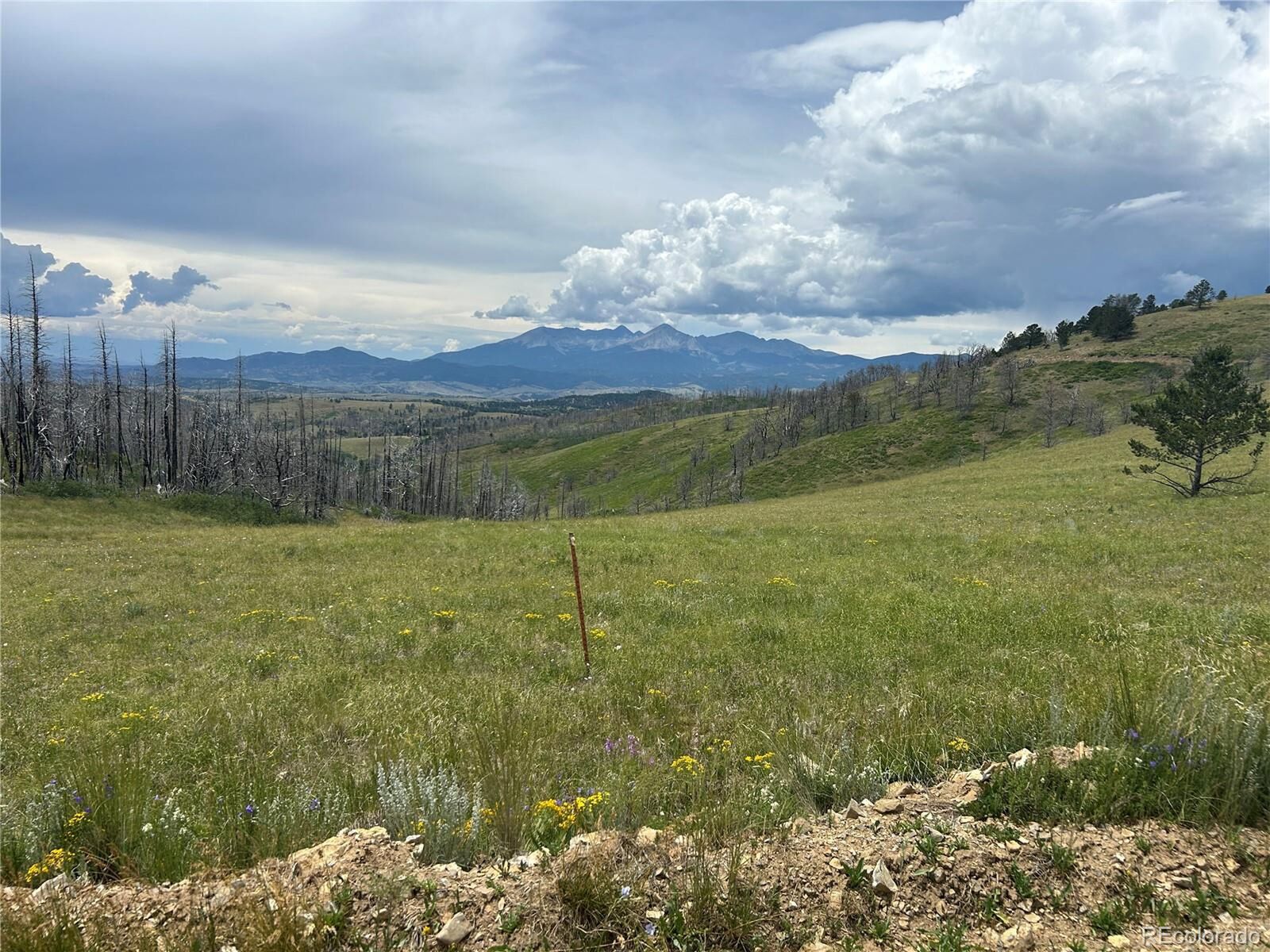 Property Photo:  463 Forbes Wagon Creek Ranch  CO 81133 