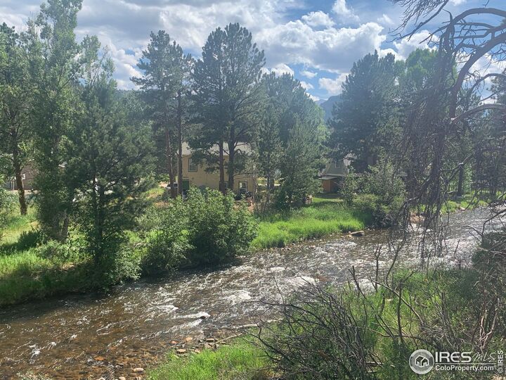 Property Photo:  465 Pine River Ln  CO 80517 
