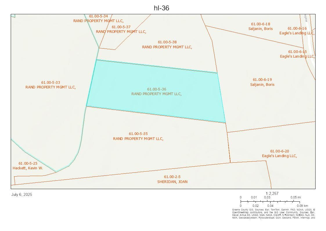 Property Photo: Tbd Boulder Brook Lot B12 Road NY 12496