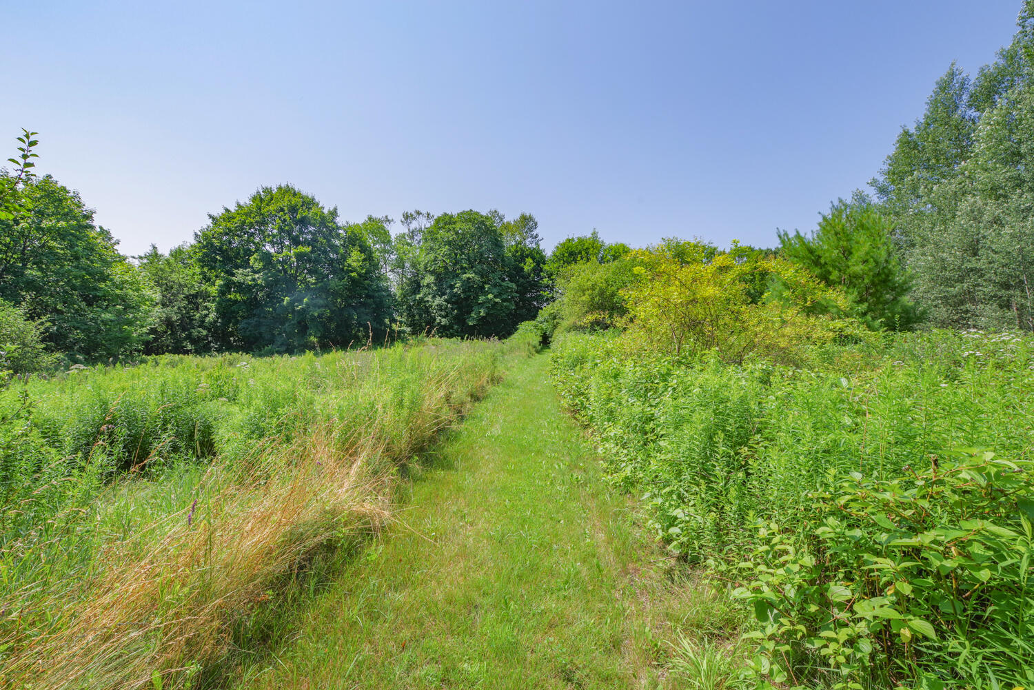 Property Photo:  482 Main Street  ME 04861 