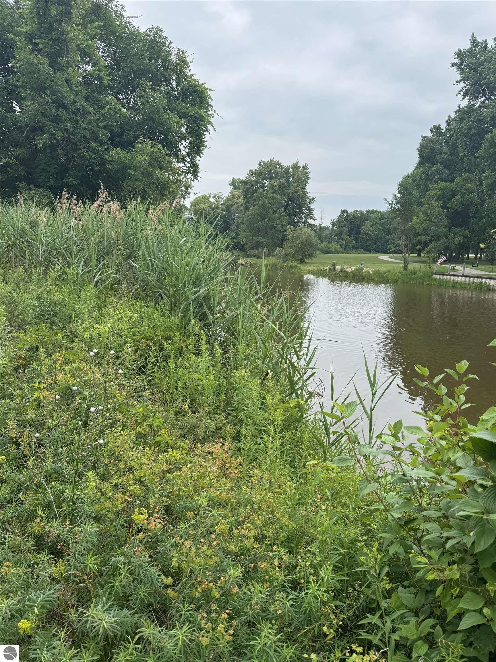 Property Photo: 229 N Water Street MI 48703