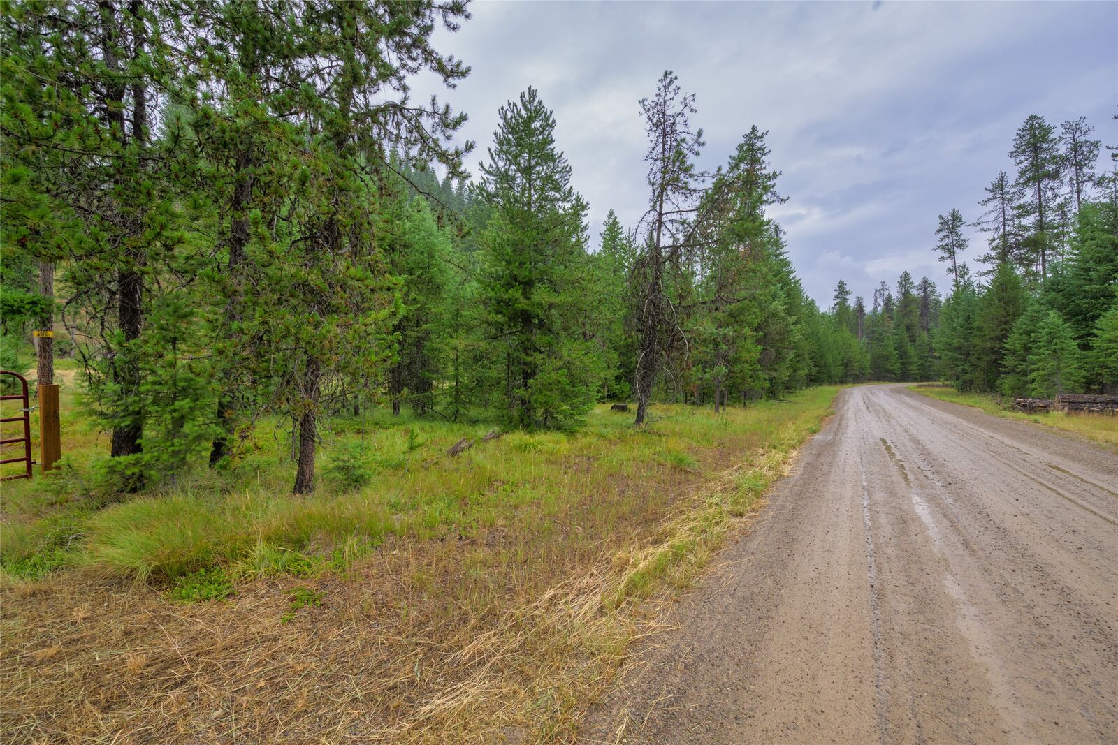 Property Photo:  Nhn Cabin City Loop Lot 50  MT 59866 