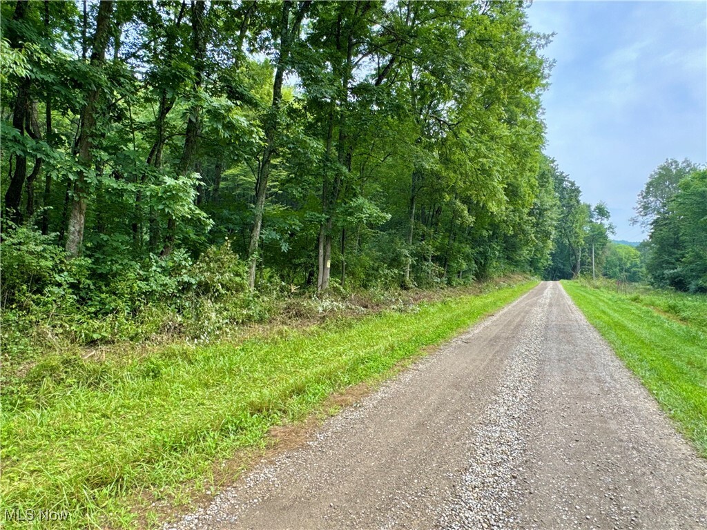 Property Photo: Township Rd 437 OH 43821