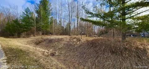 Property Photo: 187 Greensboro Way MI 48624