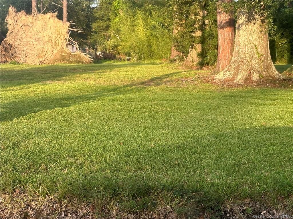 Property Photo:  0 Louise Goode Road  LA 70633 