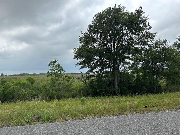 Main (L-1) Street  Lacassine LA 70650 photo