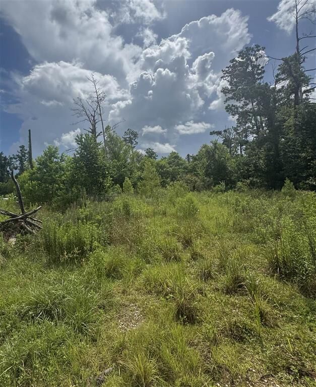 Property Photo:  3740 Dunn Ferry Road  LA 70611 
