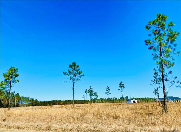 Property Photo: 0 Camp Edgewood Road LA 70633