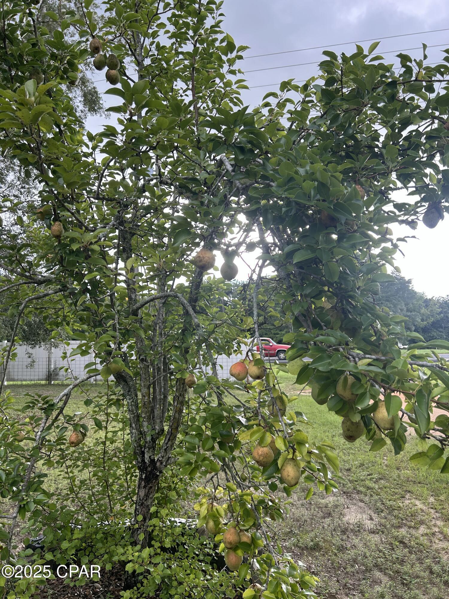 Property Photo: 5735 Highway 77 FL 32428