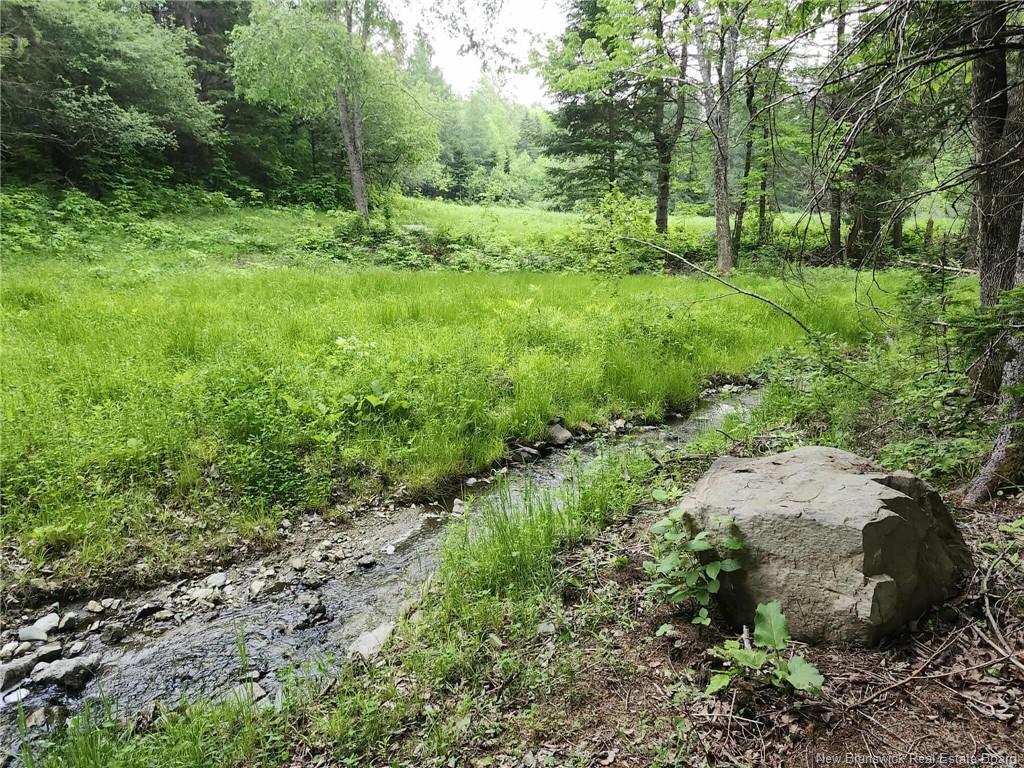 Photo de la propriété:  0 Grant Settlement Road  NB E6H 2K4 