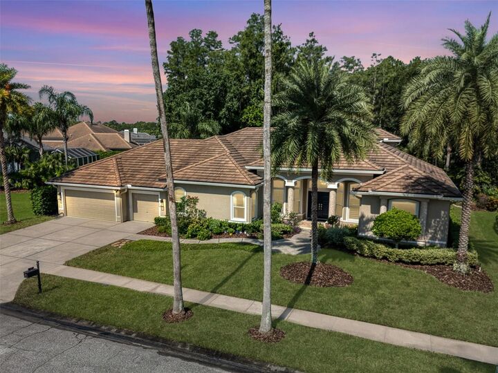 12031 Brewster Drive  Tampa FL 33626 photo