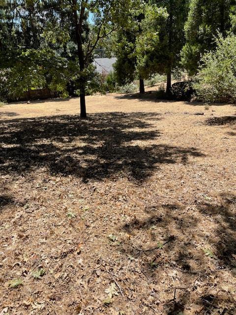 Property Photo:  11277 Edward Drive  CA 95949 
