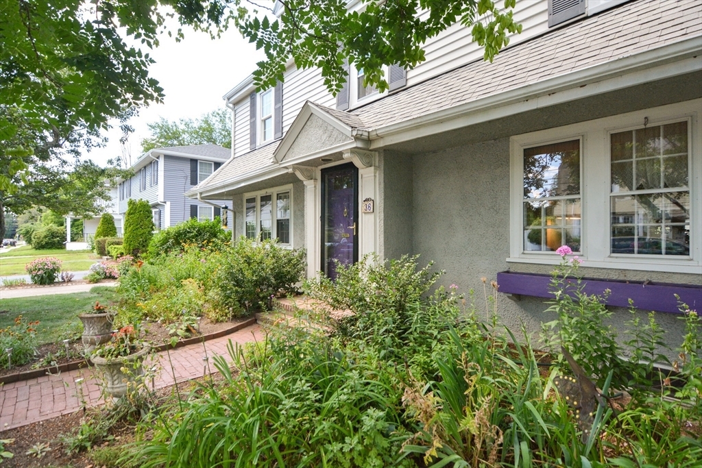 Property Photo: 36 Nelson Street MA 01702