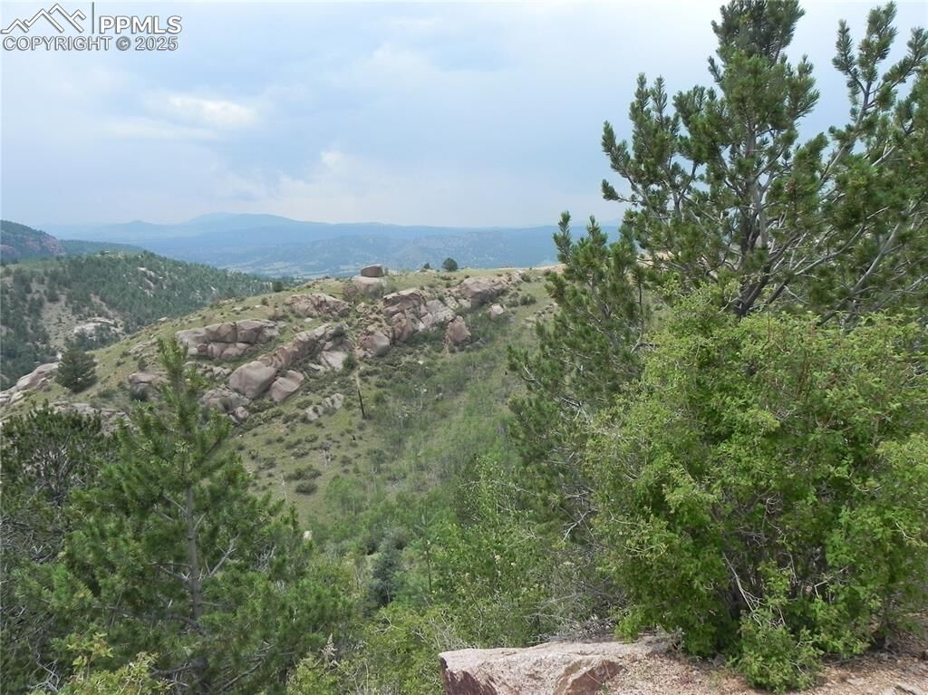 Property Photo: 67 Ajax Court CO 80813