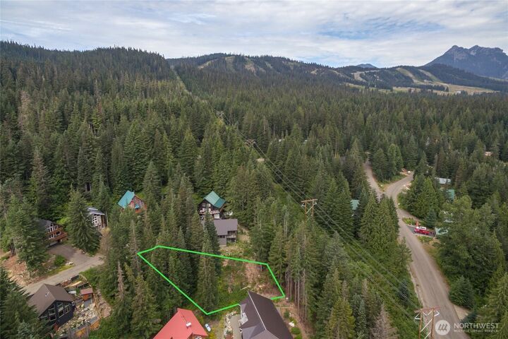 14  Arlberg Place  Snoqualmie Pass WA 98068 photo