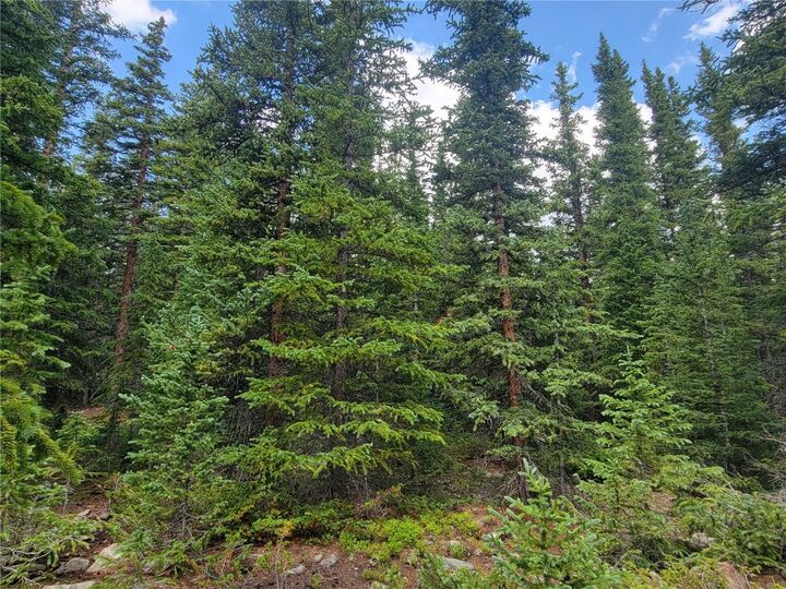 Property Photo: 461 Prunes Place CO 80440