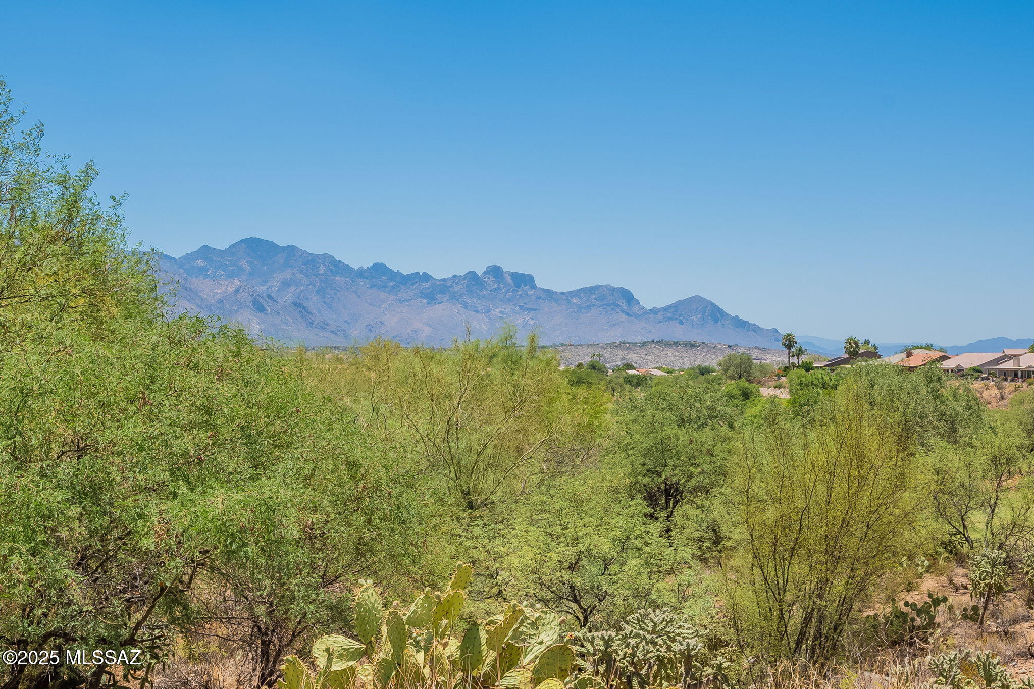 65873 E Desert Ridge Drive  Saddlebrooke AZ 85739 photo