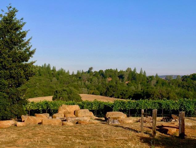 Property Photo: 12551 Steiner Road CA 95669