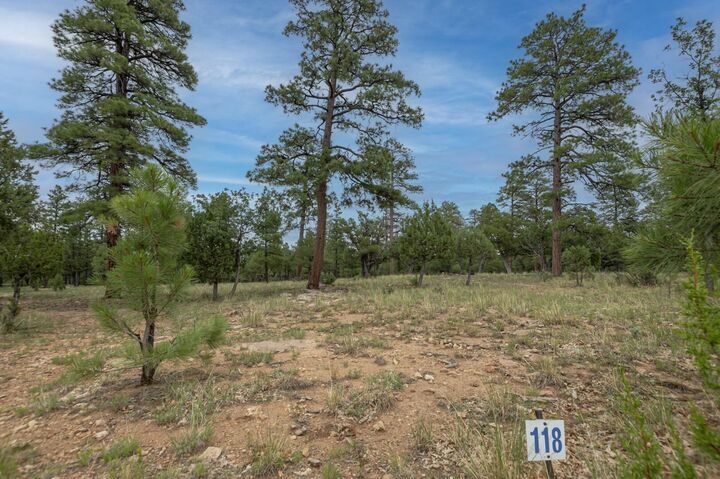 Property Photo:  2961 Eagle Ridge Circle  AZ 86024 