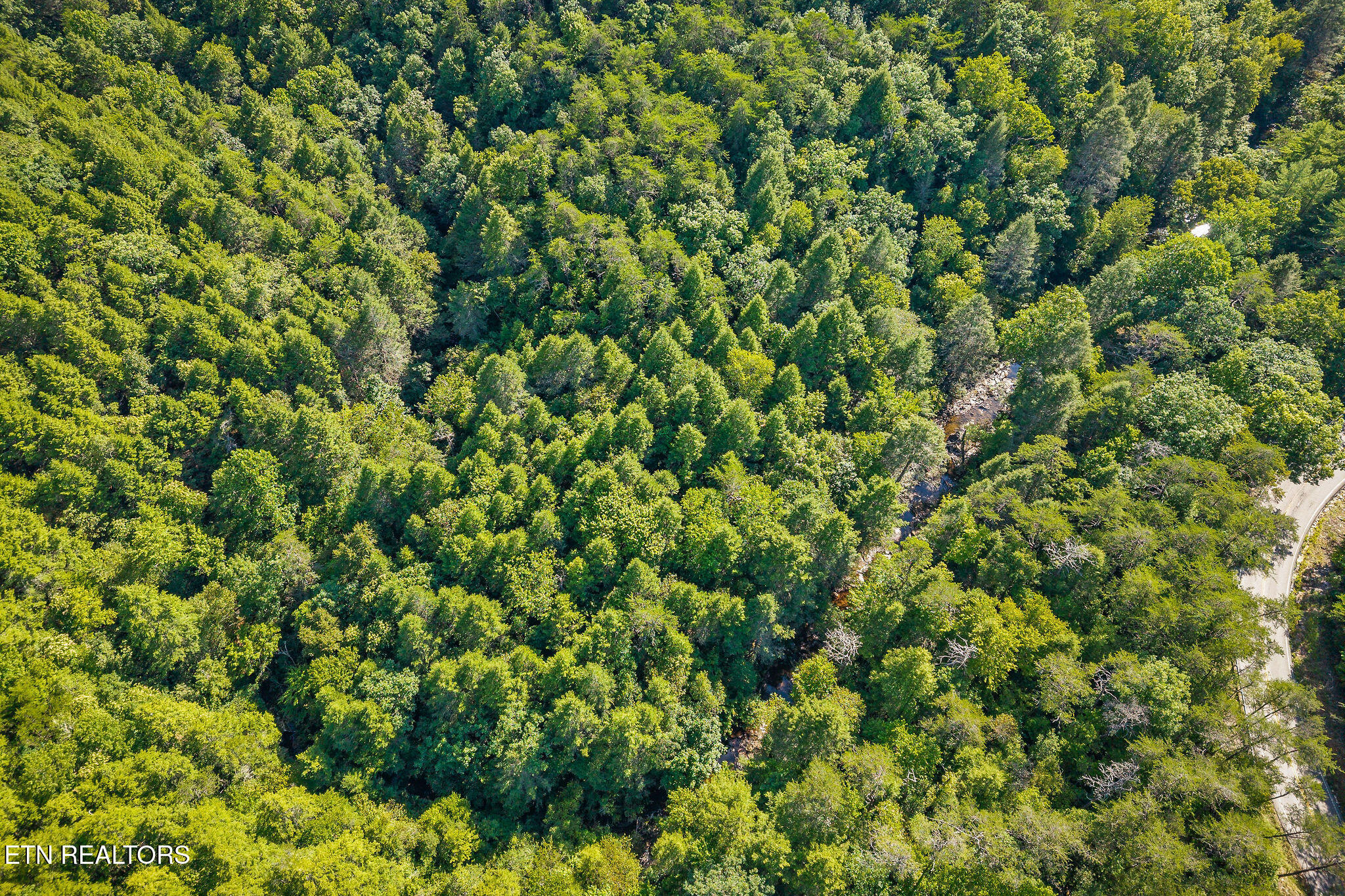 Property Photo: Choctaw Drive TN 38572
