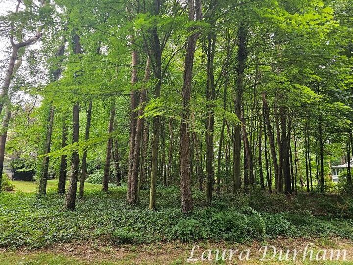 Property Photo:  N Of 3365 Clearview Lane  MI 49453 