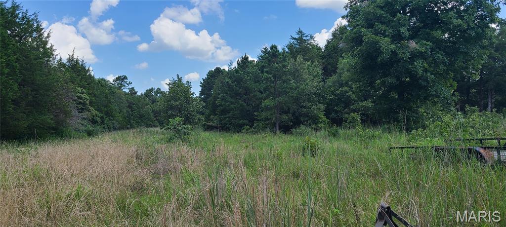 Property Photo: 0 Austin Road MO 63628
