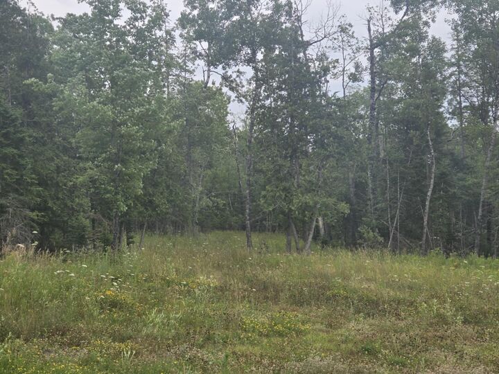 Property Photo: 00 Lambert Rd(Map 4-14 & 4-14-01) ME 04412
