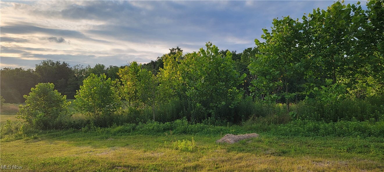 Property Photo: Vl 2 Hidden Ridge Road OH 44133