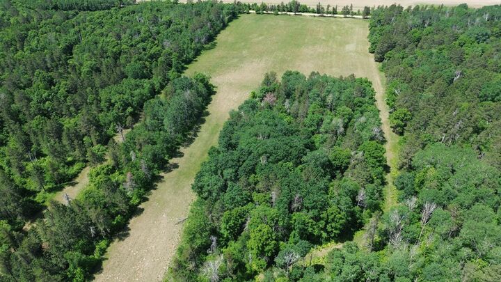 Property Photo:  Xxxx 159th Avenue  MN 56477 
