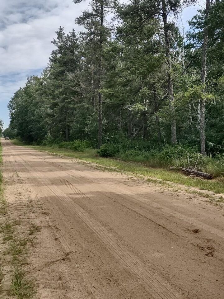 Property Photo:  Xxxx 159th Avenue  MN 56477 