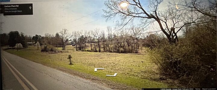 12.99 Carbon Plant  Altus AR 72821 photo