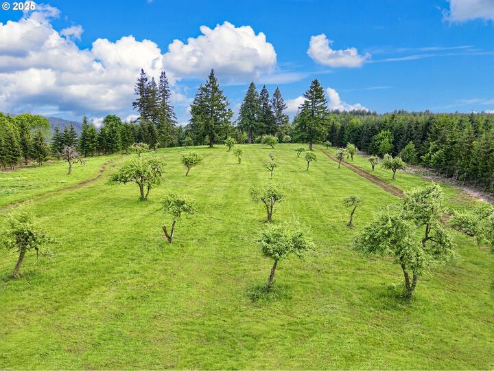 Property Photo:  11892 SW Dupee Valley Rd  OR 97128 