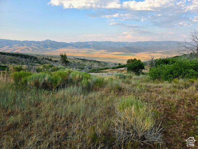 Unknown  Indianola UT 84629 photo