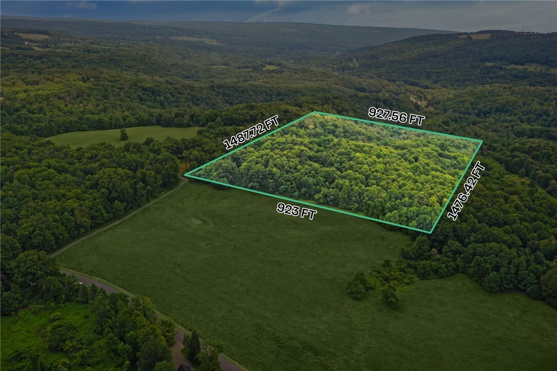 Property Photo: 0 Slators Lane Lane NY 14867