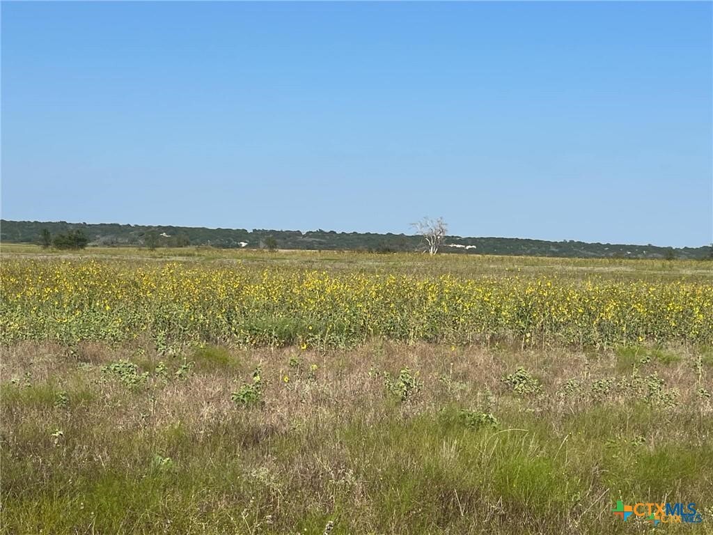 Property Photo:  000 Tbd Pr 16021  TX 76538 