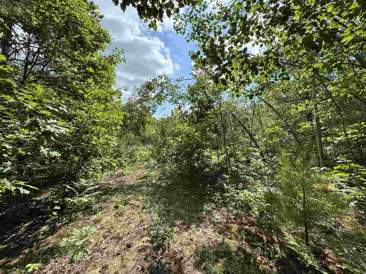 Property Photo: 10320 Upper Mograin MI 49721