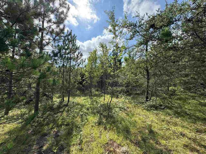 Property Photo:  10320 Upper Mograin  MI 49721