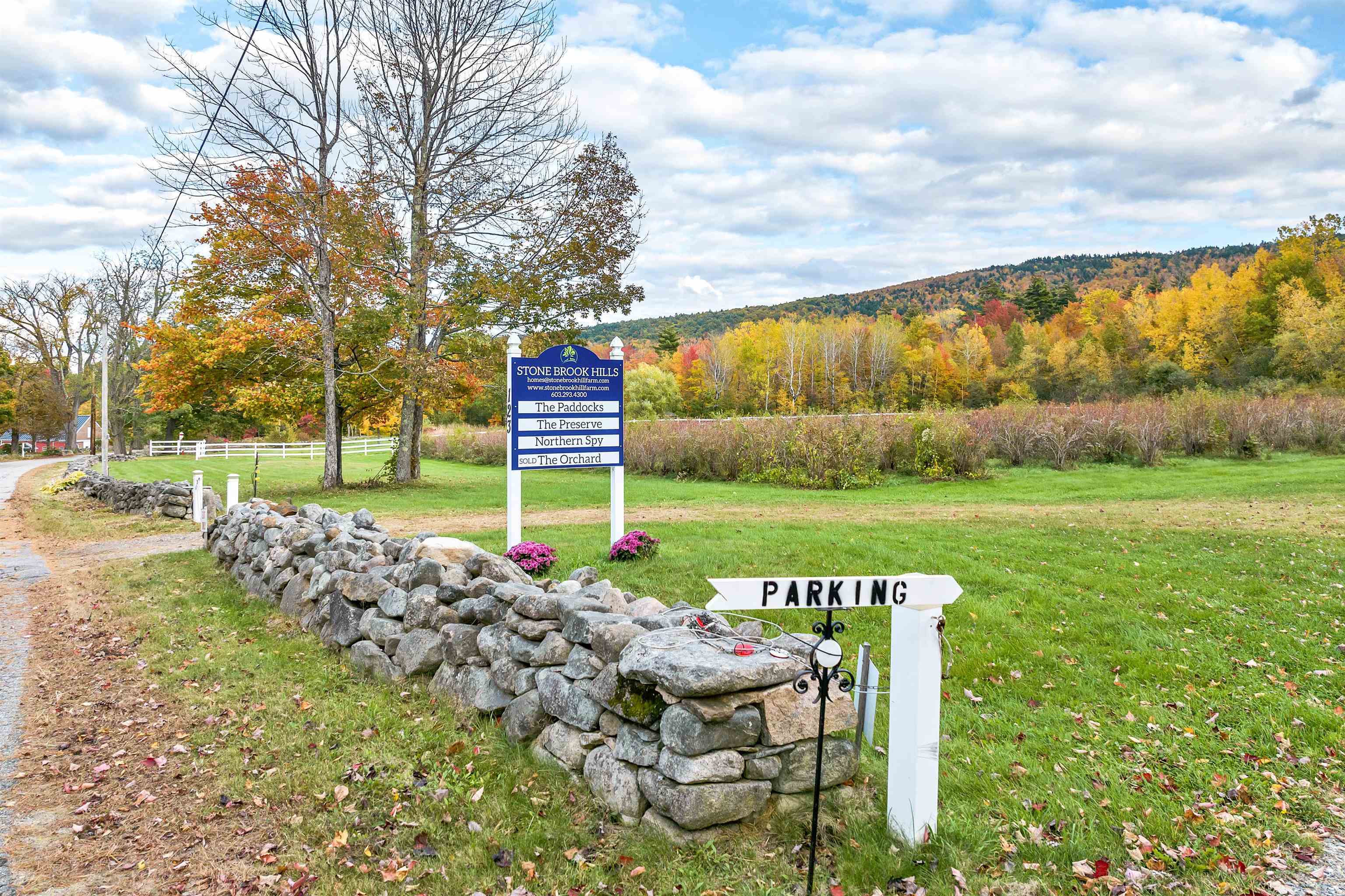 Property Photo: 31 Homestead Drive NH 03249