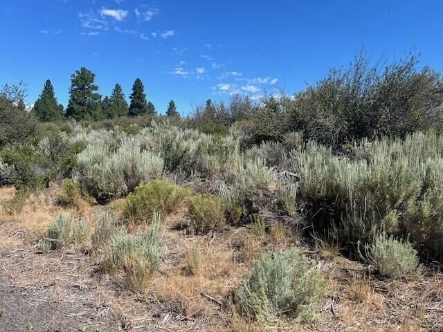 Wrightwood Lot 17  Chiloquin OR 97624 photo